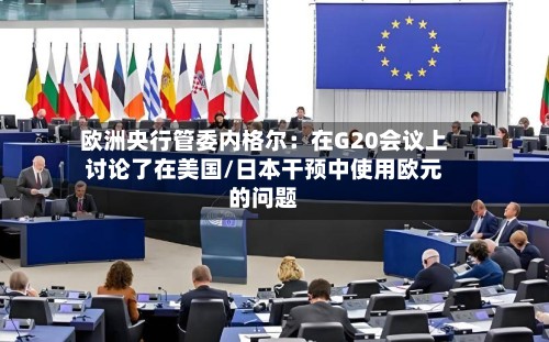 欧洲央行管委内格尔：在G20会议上讨论了在美国/日本干预中使用欧元的问题