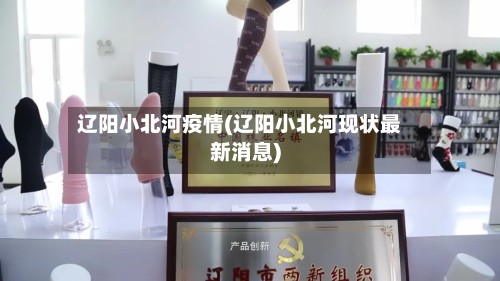 辽阳小北河疫情(辽阳小北河现状最新消息)-第2张图片