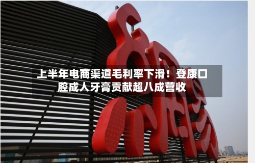 上半年电商渠道毛利率下滑！登康口腔成人牙膏贡献超八成营收-第1张图片