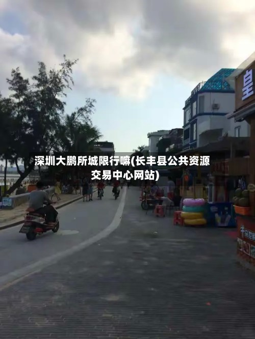 深圳大鹏所城限行嘛(长丰县公共资源交易中心网站)