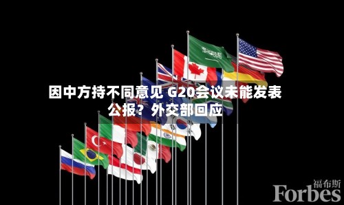 因中方持不同意见 G20会议未能发表公报？外交部回应
